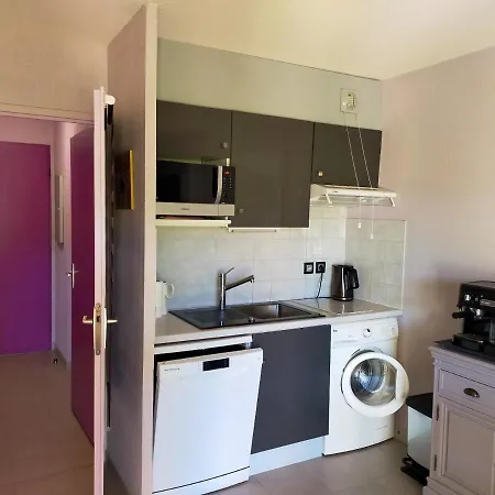 Appartement Studio Avec Piscine Partagee Et Jardin Amenage A Raphael A 5 Km De La Plage